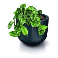 Квітковий горщик Milly 300L - Зображення 3