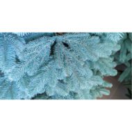 Ялинка штучна лита Ковалівська віп блакитна - Зображення 2