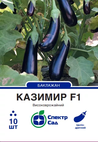 Баклажан Казимир F1, 10 шт