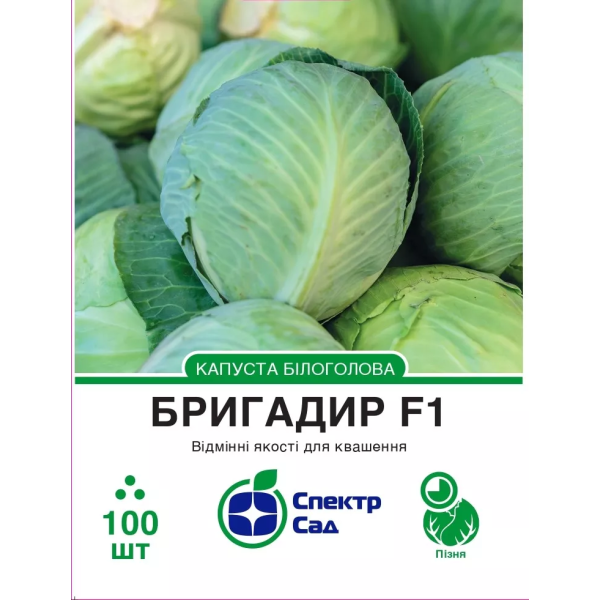 Білоголова капуста Бригадир F1, 100 шт