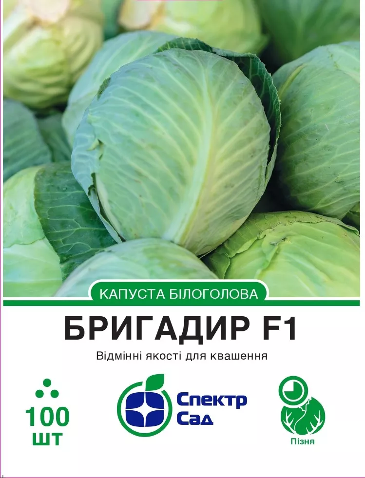 Білоголова капуста Бригадир F1, 100 шт