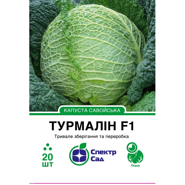 Савойська капуста Турмалін F1, 20 шт