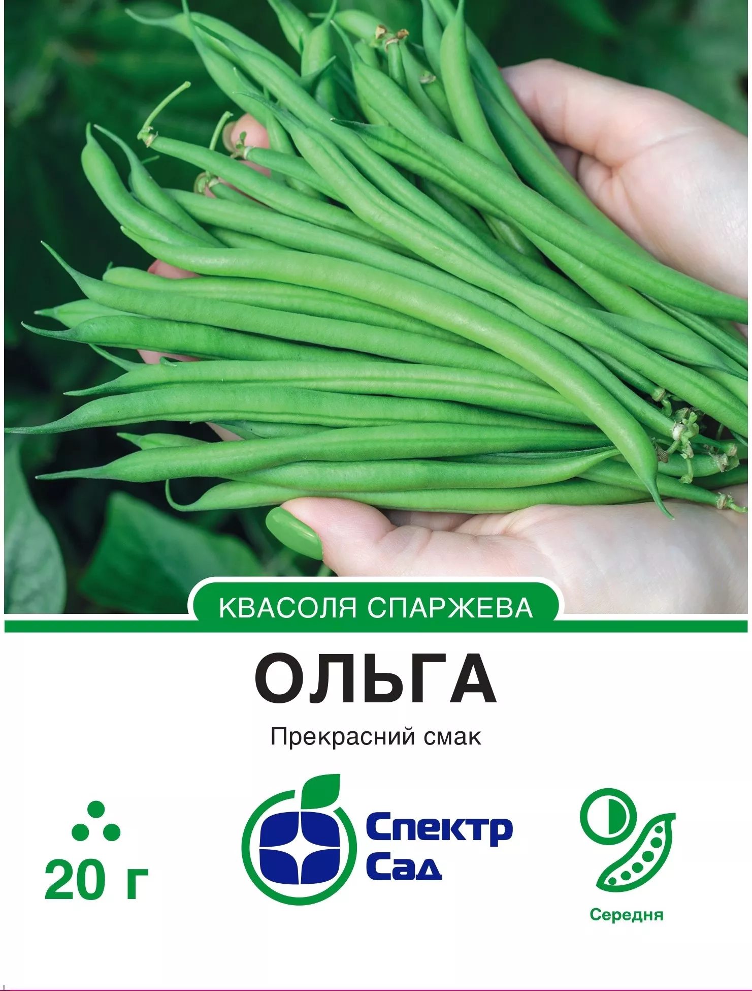 Спаржева квасоля Ольга, 20 г