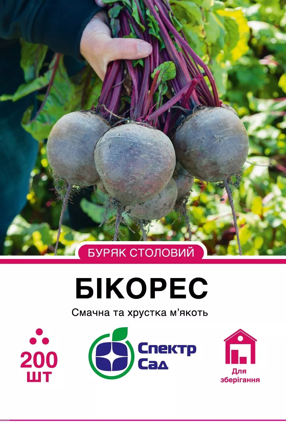 Столовий буряк Бікорес, 200 шт Столовий буряк Бікорес, 200 шт - Зображення 1