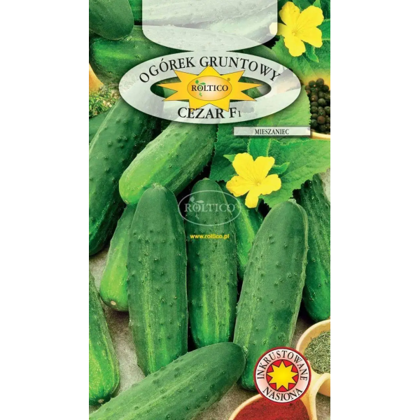 ТМ ROLTICO Огірок Цезар F1, 5г Польща