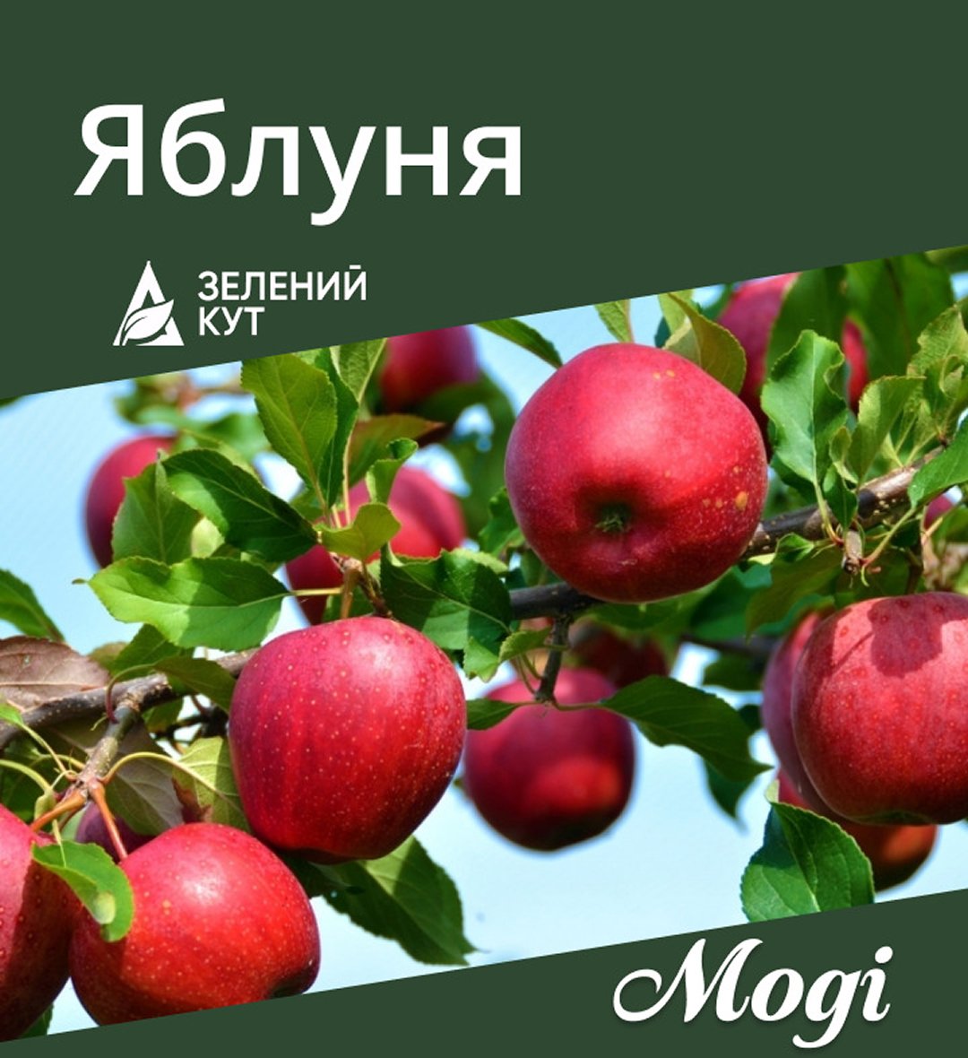 apple_modi