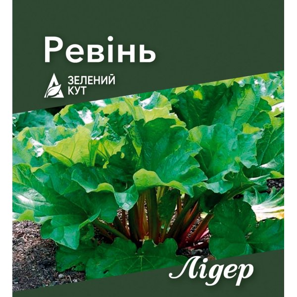 Ревінь Лідер