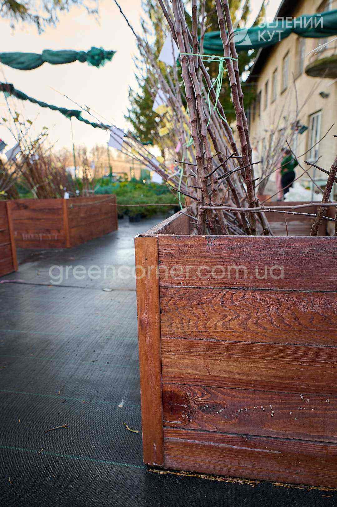 SC_6656