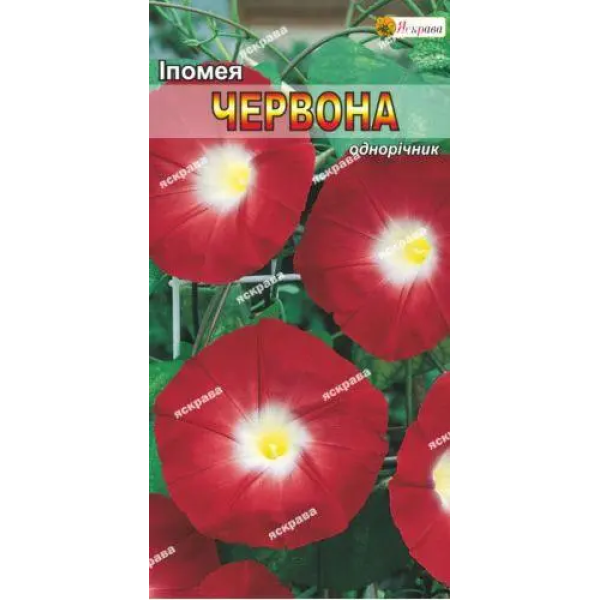 ТМ ЯСКРАВА Іпомея пурпурова Червона, 1г