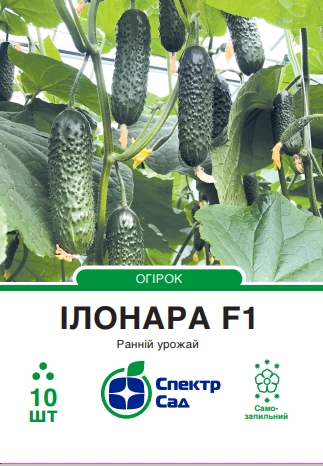 b4ec5c351a17afd90b8f8b21f5febbdb Огірок Ілонара F1, 10 шт - Зображення 1