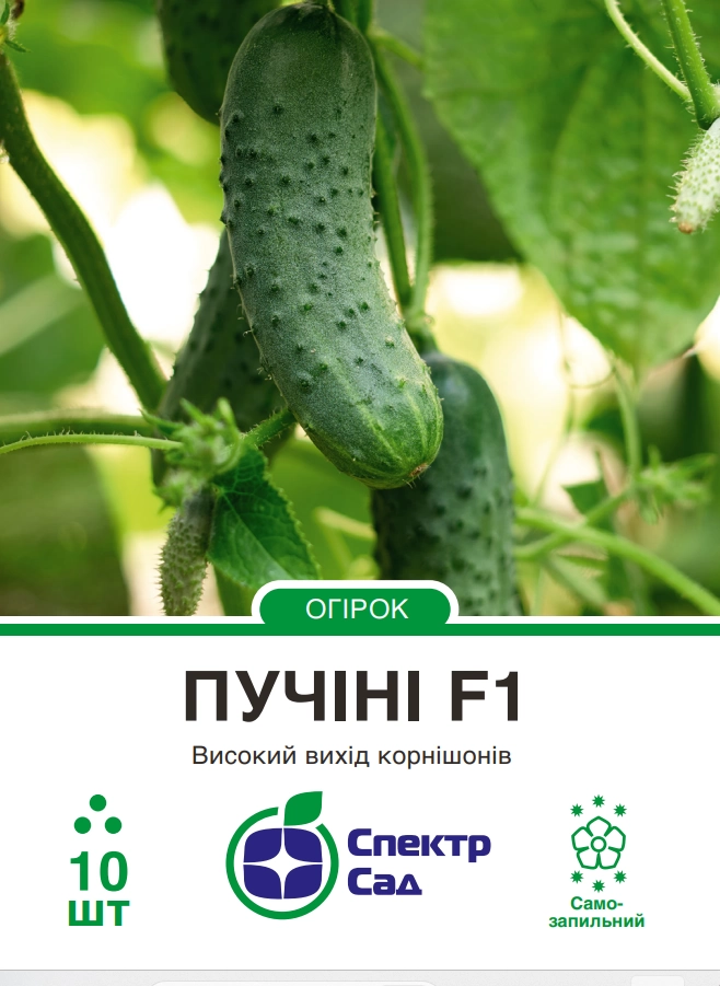 x76e20d1ba90678785b1165094d824dd3.webp.pagespeed.ic.NZ3euYvXQt Огірок Пучіні F1, 10 шт - Зображення 1