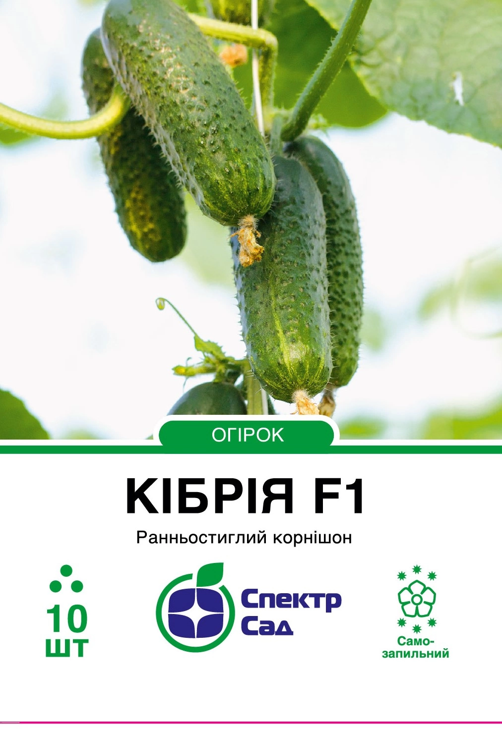 x99cc3946995871394f72c8df8015997f.webp.pagespeed.ic.Sm0E6FMYV1 Огірок Кібрія F1, 10 шт - Зображення 1