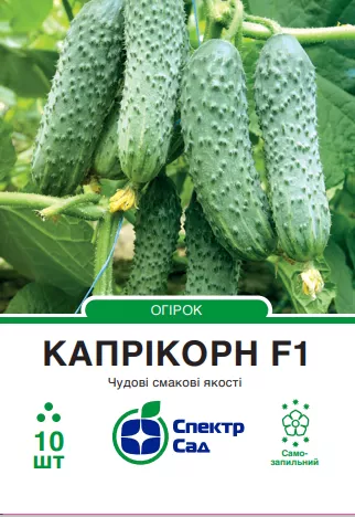 xa547771d34dd9b4f1fd380322470c4a2.webp.pagespeed.ic.8nz57LHF6n Огірок Капрікорн F1, 10 шт - Зображення 1