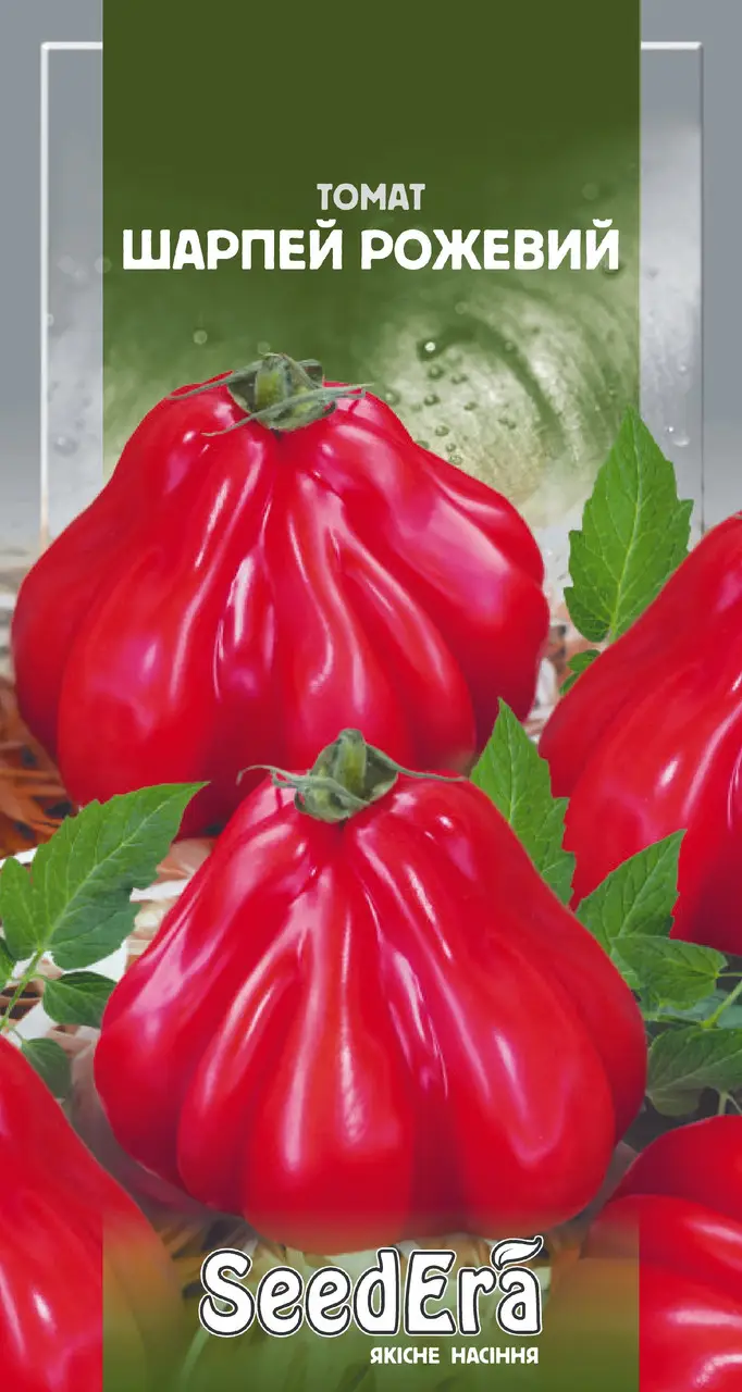 1244174709_w640_h640_tm-seedera-tomat (1) ТМ SeedEra Томат Шарпей рожевий, 0,1 г - Зображення 1
