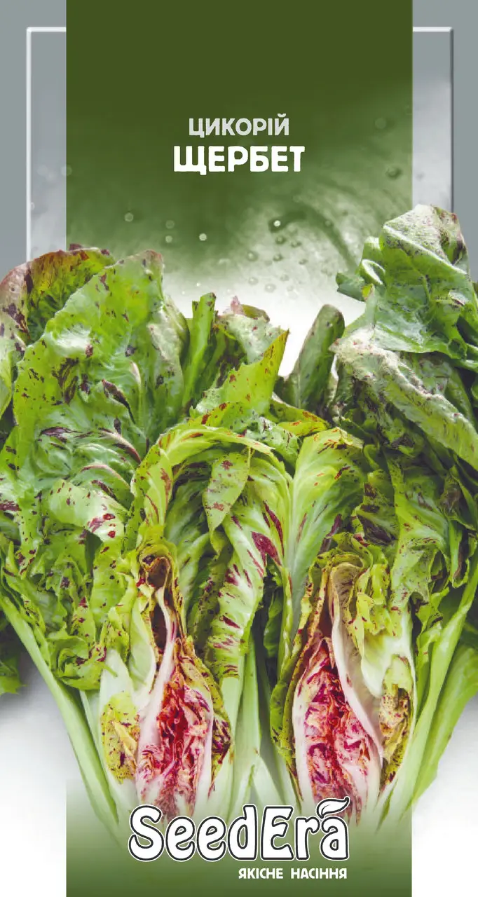 1244184014_w640_h640_tm-seedera-tsikorij ТМ SeedEra Цикорій листової Щербет, 1г - Зображення 1