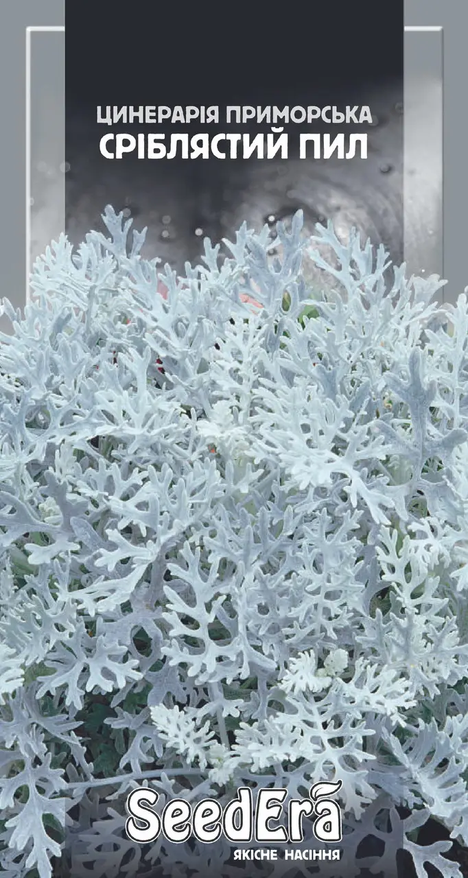1244187896_w640_h640_tm-seedera-tsinenariya (1) ТМ SeedEra Циненарія Срібний пил, 0,1 г - Зображення 1
