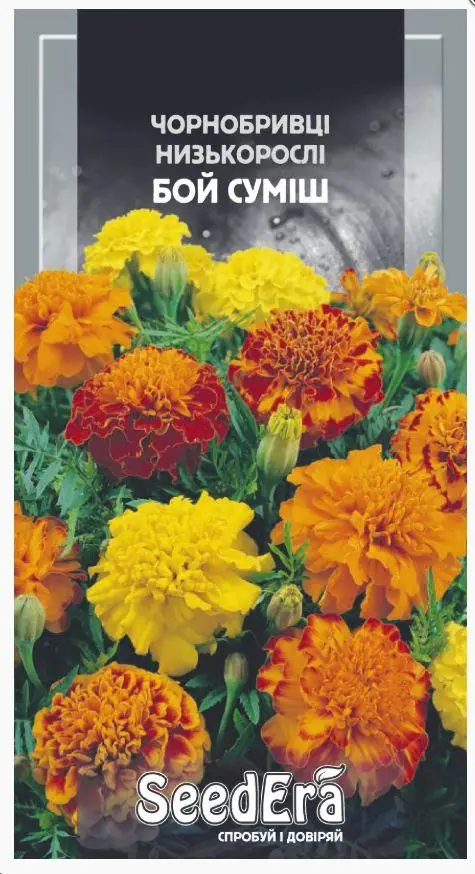 6988160714_w640_h640_tm-seedera-chornobrivtsi ТМ Seedera Чорнобривці низькорослі Бой суміш, 0,3г - Зображення 1