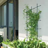 Опора для рослин Prospeplast Floo Supports, 60х120 см - Зображення 4